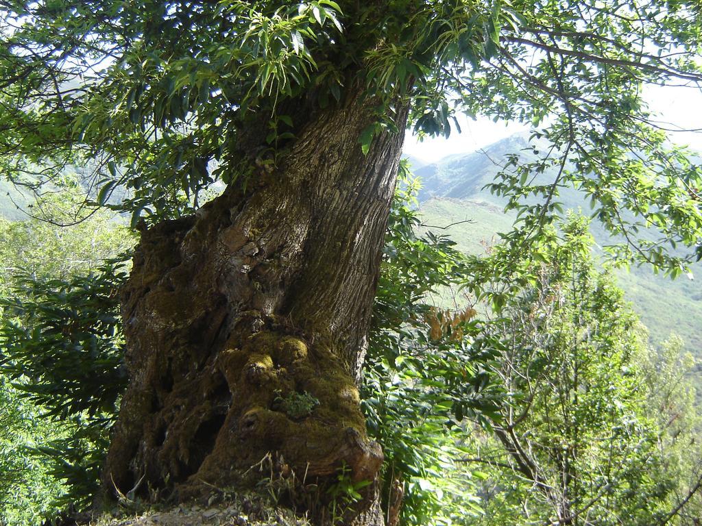Carriles Romanos Odollo Extérieur photo